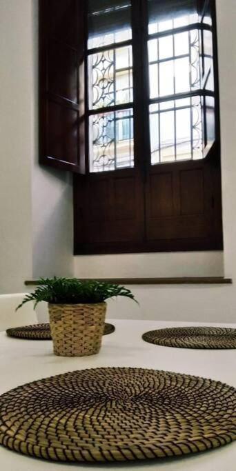 Disfruta De La Historica Cordoba Apartman Kültér fotó